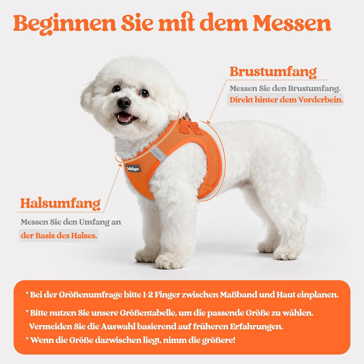 rabbitgoo Hundegeschirr Kleine Hunde mit Leine, Step-in Welpengeschirr Weich Mesh für Spaziergänge,