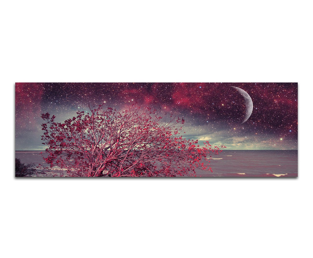 Paul Sinus Art Panoramabild auf Leinwand und Keilrahmen 150x50cm Meer Küste Busch Nacht Sterne Mond