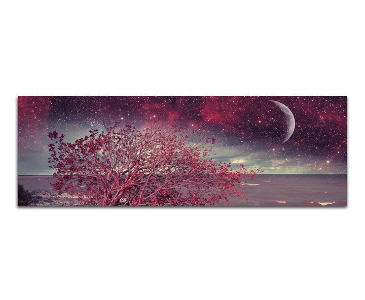 Paul Sinus Art Panoramabild auf Leinwand und Keilrahmen 150x50cm Meer Küste Busch Nacht Sterne Mond