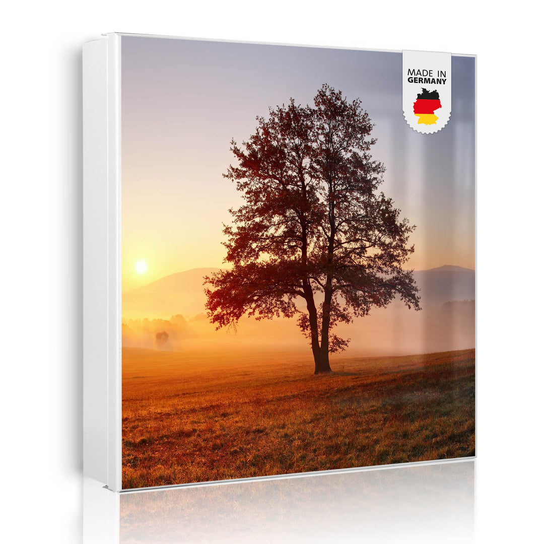 banjado® Grosser Schlüsselkasten Glas/Schlüsselbox 30cm x 30cm mit 50 Haken - Motiv Sonnenaufgang/Sc
