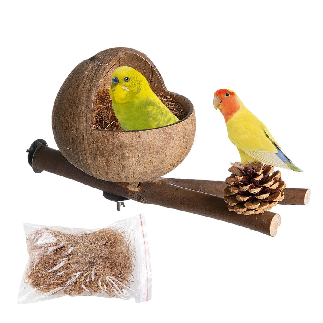 Vogelnest Aus Natürlichem Kokosnuss Muschel | Kokos Gehäuse Vogel Nest Mit Zweigen Und Kokosraspeln