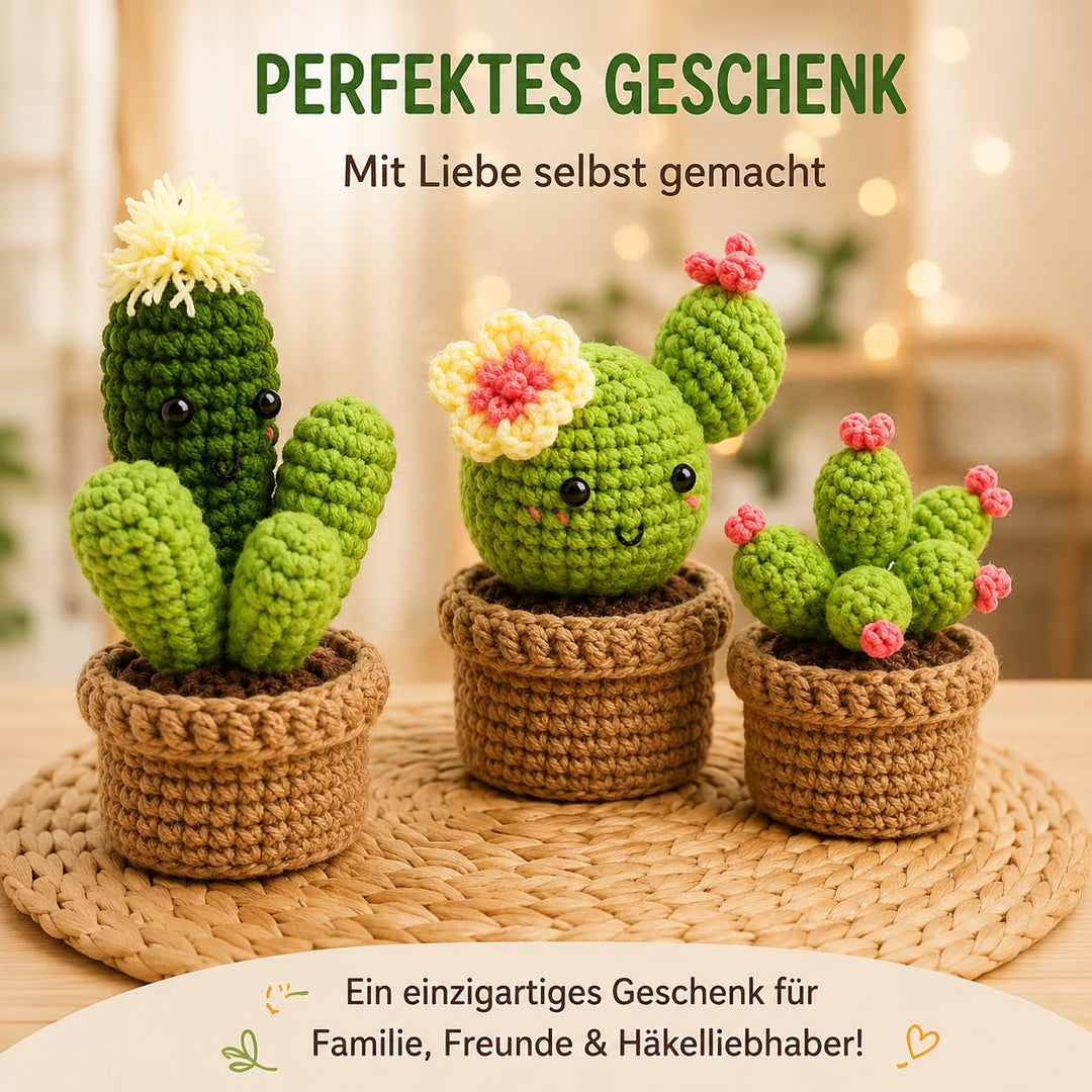 Boriad Häckel Kit für Anfänger,3 Cactus Stricken für Anfänger set,Crochet Set mit Häkelanleitung für