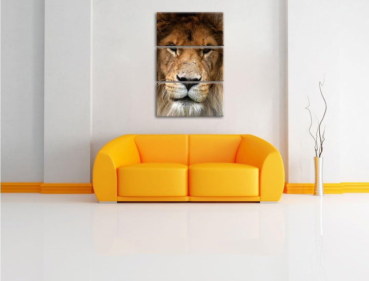 Pixxprint Kampfvernarbten / 3-Teilig/Gesamtmass 120cm Leinwandbild bespannt auf Holzrahmen/Wandbild