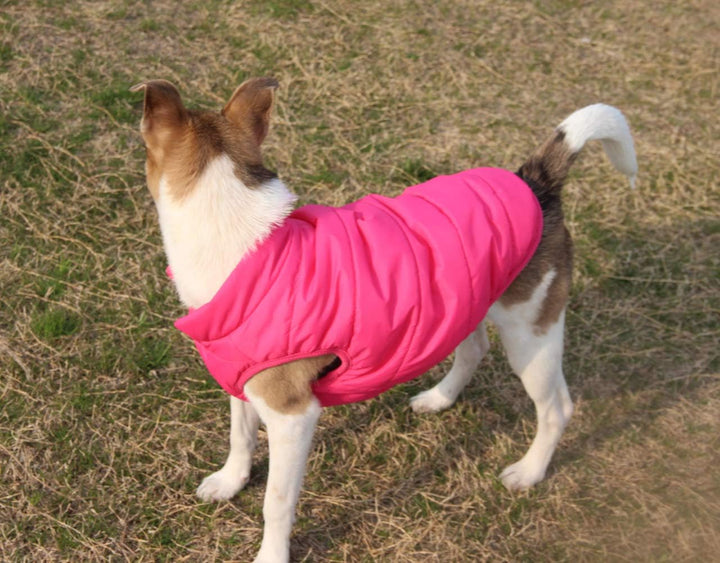 2-lagige mit Fleece gefütterte Hundejacke, sehr warm für Winter und kaltes Wetter, extraweiche, wind