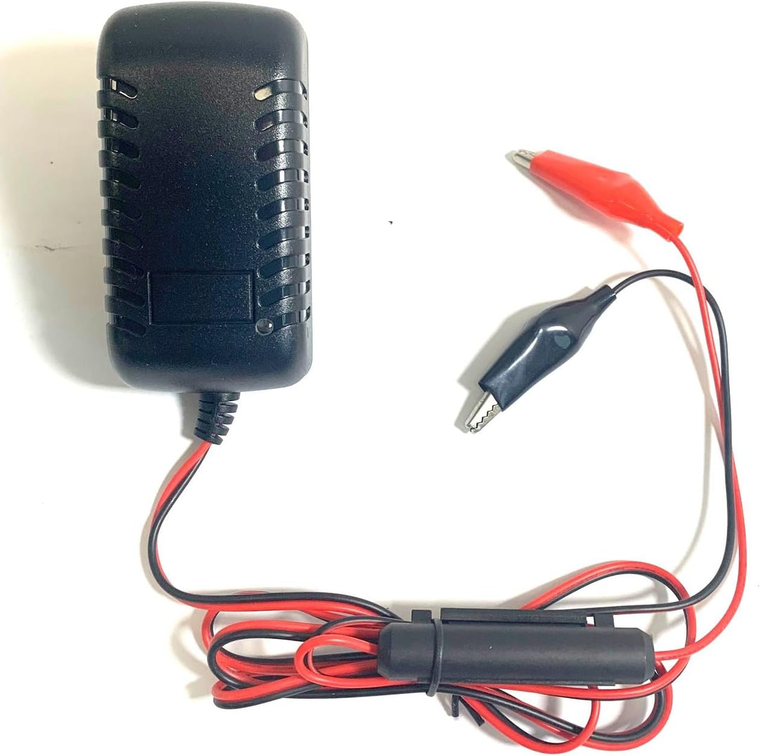 Enerpower Steck Ladegerät 4S 14,6V für LiFePo4, AGM Akkus 12V (12,8V) 2A Krokodile