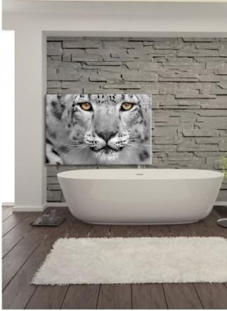 Schöner Leopard, Bild auf Leinwand, XXL riesige Bilder fertig gerahmt mit Keilrahmen, Kunstdruck auf
