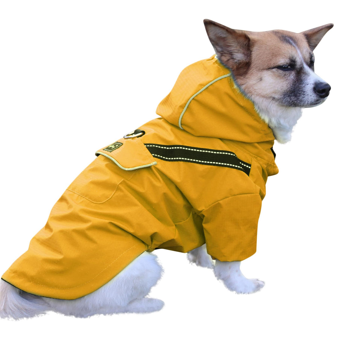 Premium-Regenmantel mit Kapuze für Mittelgrosse Hunde, Outdoor-Sport, Wasserdichte Regenjacke, Welpe