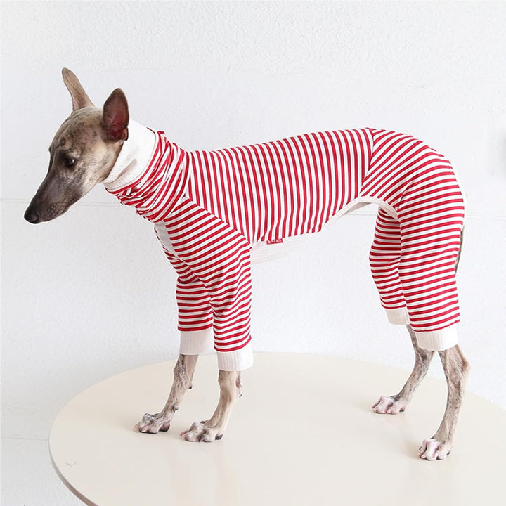 Leichter Baumwoll-Windhund-Pullover, Whippet-Kleidung mit Beinen, Rollkragen-Hunde-Jumpsuit, Hunde-P