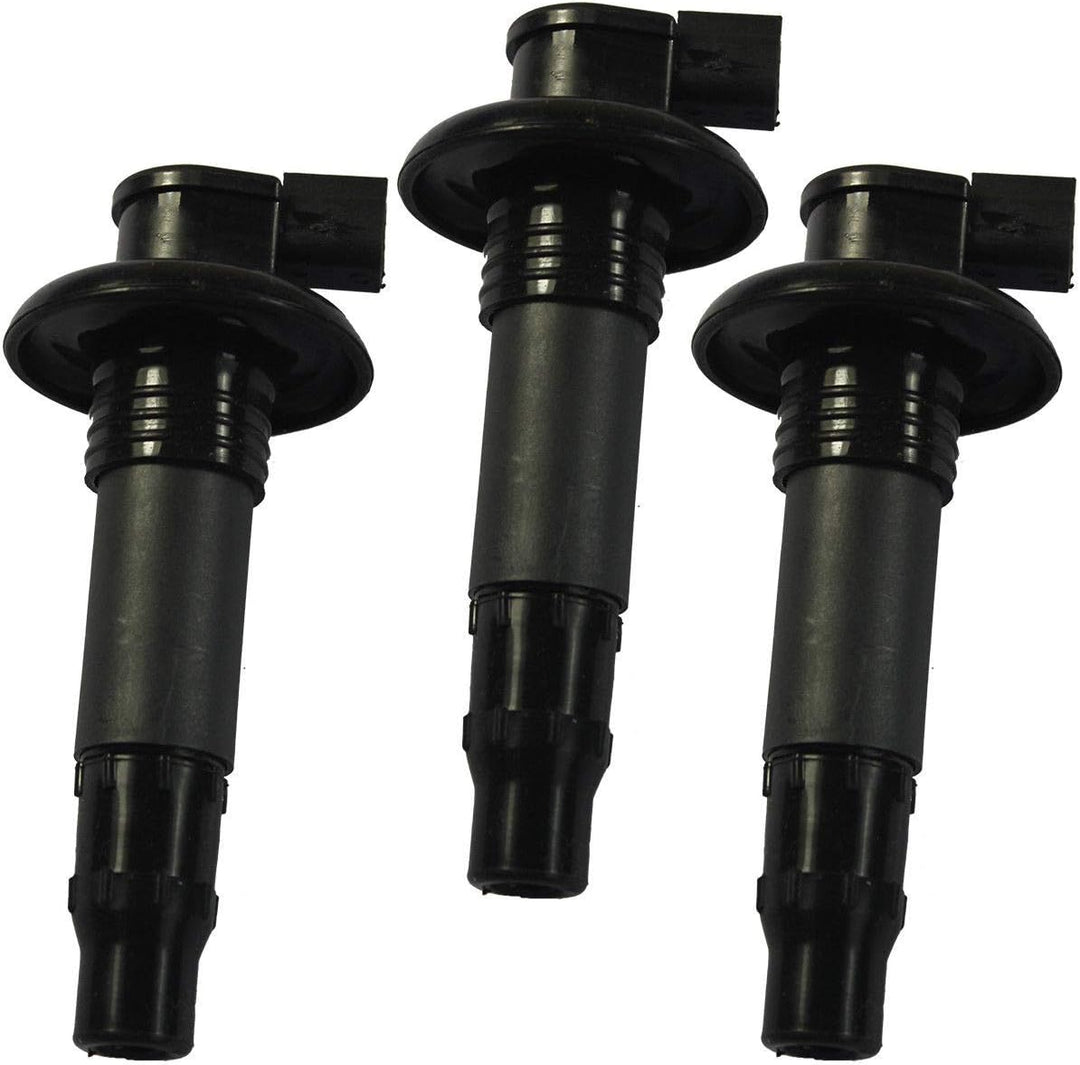 Zündspulen 420664020 296000307 Set für Motorrad Roller GTX RXT RXP GTS Wake 4-TEC-4TEC