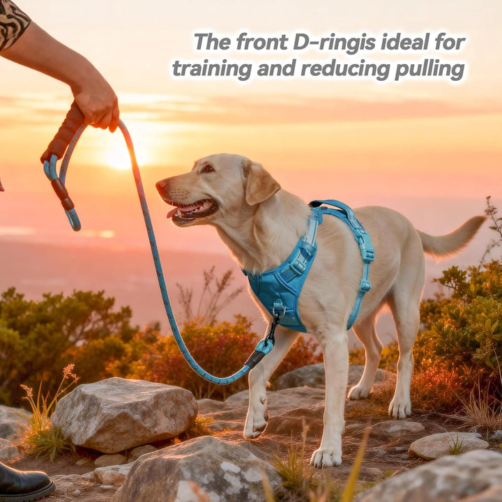 PoyPet Keine Pull Hundegeschirr, Reflektierendes Hundegeschirr für Hunde ohne Choke, Verstellbare, w