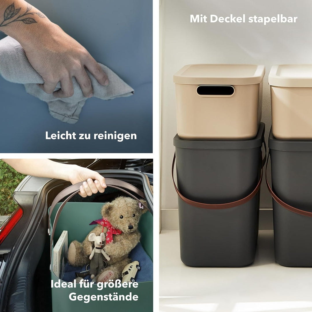 Rotho Albula Aufbewahrungsbox 25l mit Deckel, Kunststoff, Blau, Nicht zutreffend, Blau