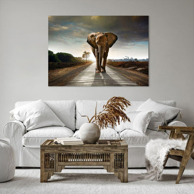 Bilder auf Leinwand 100x70cm Leinwandbild Elefant Strasse Landschaft Gross Wanddeko Bild Schlafzimme