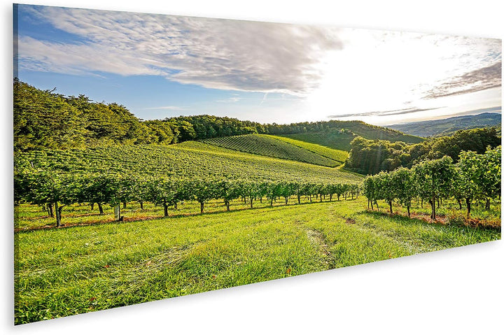 islandburner Bild auf Leinwand Weinberge Sonne Vor Der Ernte Europa Bilder Wandbilder Poster Leinwan