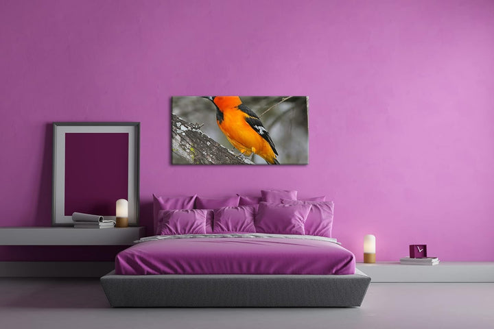 Anmutiger Vogel Panorama 120x60 cm als Leinwandbild, Motiv fertig gerahmt auf Echtholzrahmen, Hochwe