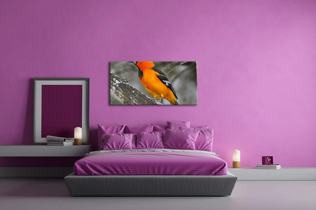 Anmutiger Vogel Panorama 120x60 cm als Leinwandbild, Motiv fertig gerahmt auf Echtholzrahmen, Hochwe
