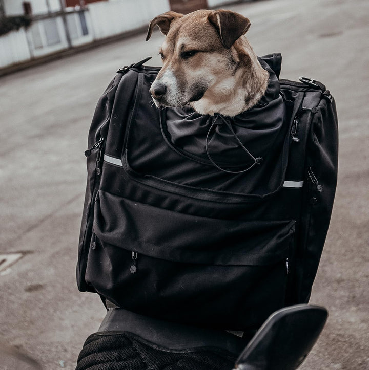 DEEMEED PETBAG Motorradtasche für Hunde und Katzen (11-15 kg), wasserdicht, tragbar, dreifach belüft