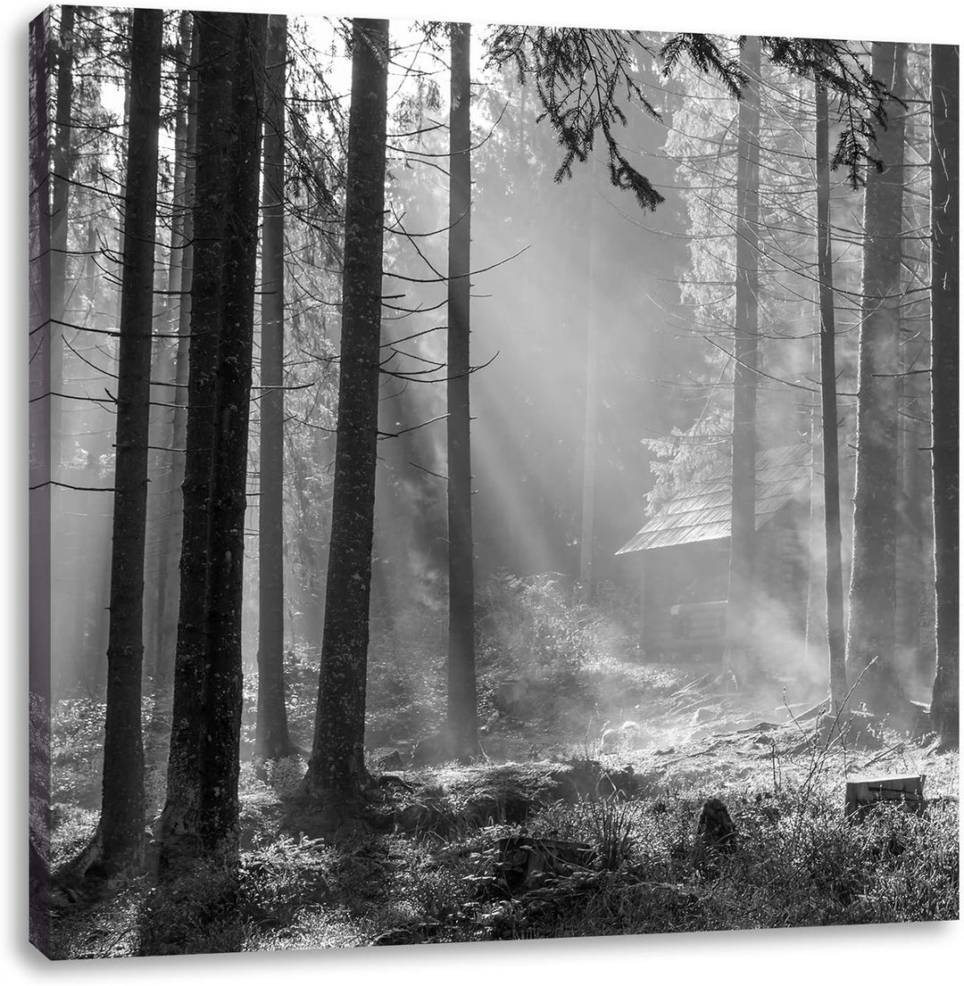 Pixxprint Häuschen im Wald mit Sonnenstrahlen schwarz/weiss, Format: 70x70 auf Leinwand, 70x70