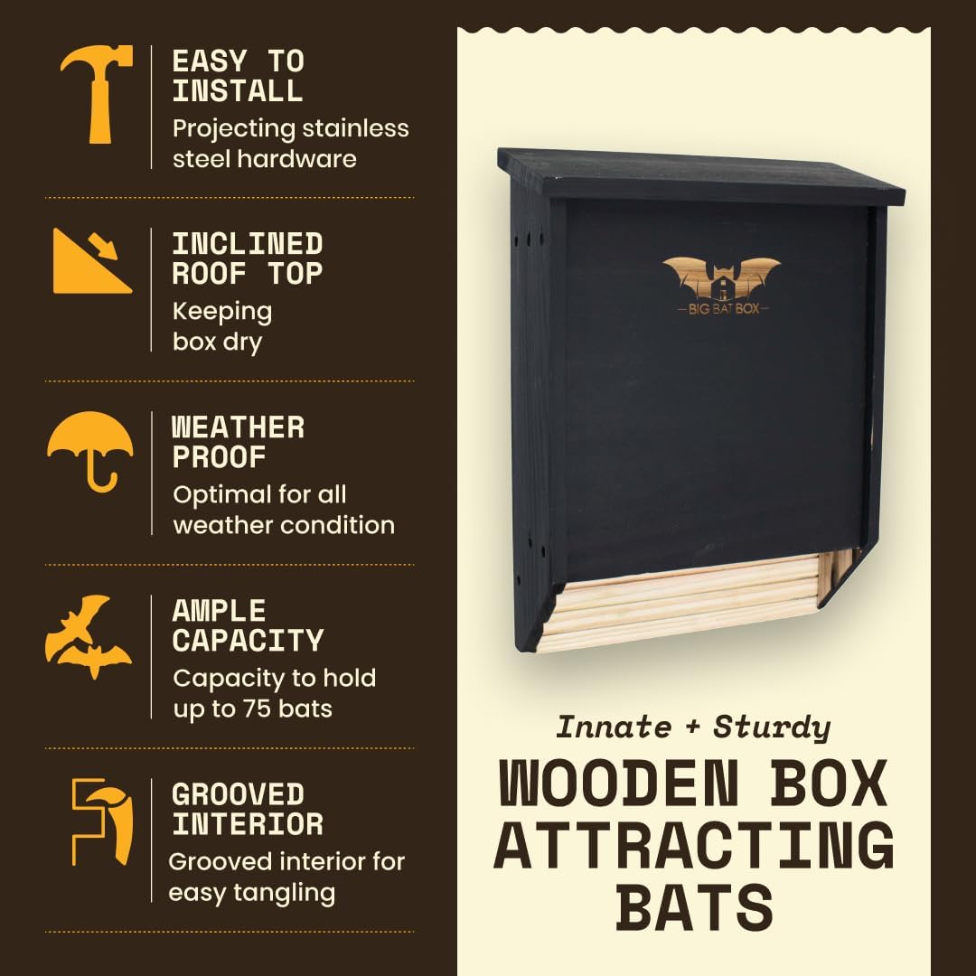 BIGBATBOX -Bat Houses for Outdoors - Proven Bat Box Design, Premium 2-Chamber Cedar Bat House. Enjoy