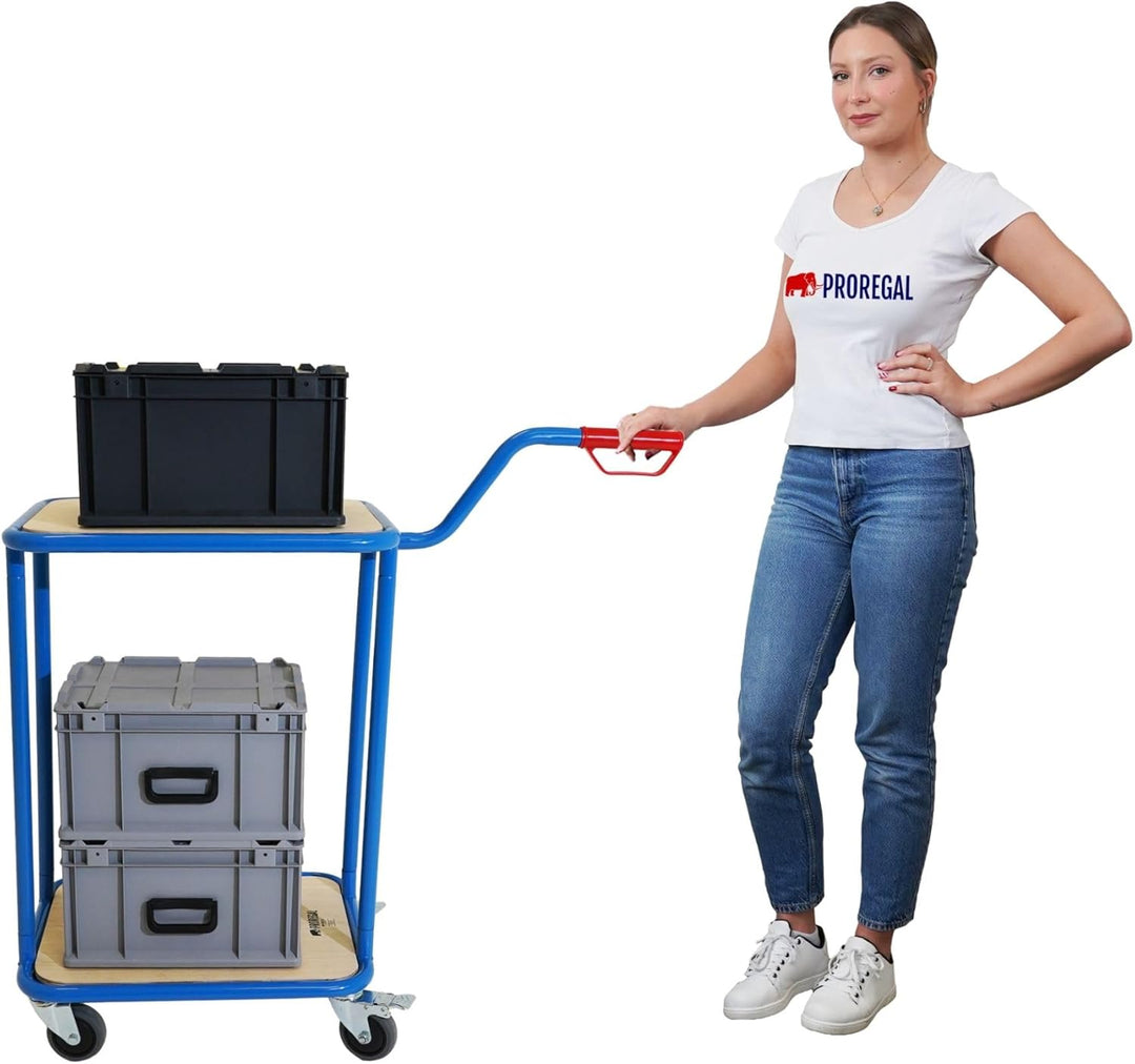 PROREGAL Profi Griffroller 2 Ebenen 102x50x60 cm Traglast 250kg Transportroller mit Griff 2X Lenkrol