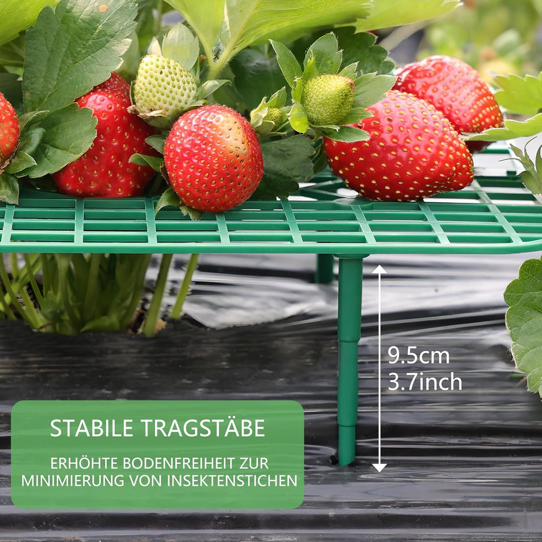 ANGTUO 10 Stück Quadratisch Erdbeerreifer Gartenzubehör Schneckenschutz Erdbeerstützen Schutz Gemüse