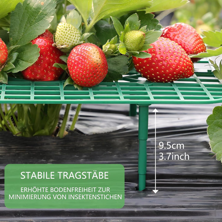ANGTUO 10 Stück Quadratisch Erdbeerreifer Gartenzubehör Schneckenschutz Erdbeerstützen Schutz Gemüse