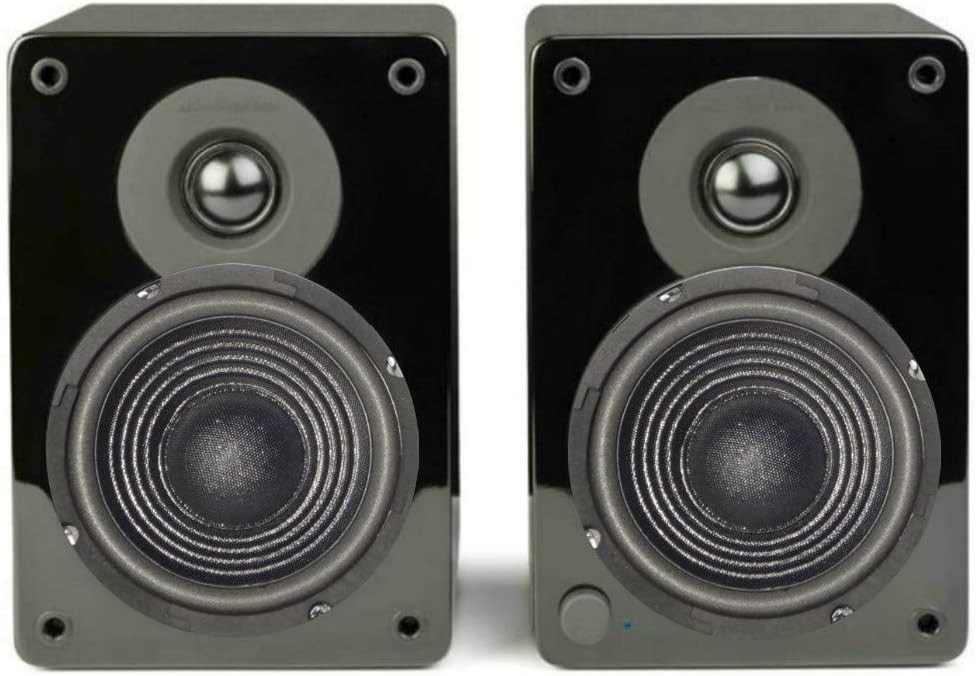 VOM GESCHÄFT LA MAISON CHIC 2011: LAUTSPRECHER NIEDRIGE MITTE WOOFER DIFFUSER MASTER AUDIO CW800/8 C
