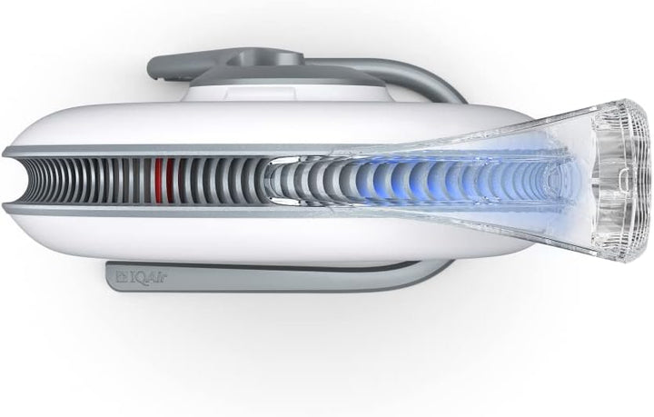 IQAir Luftreiniger für Allergiker - Klein, mobil, tragbar - Filtert hocheffektiv Luftschadstoffe, Vi