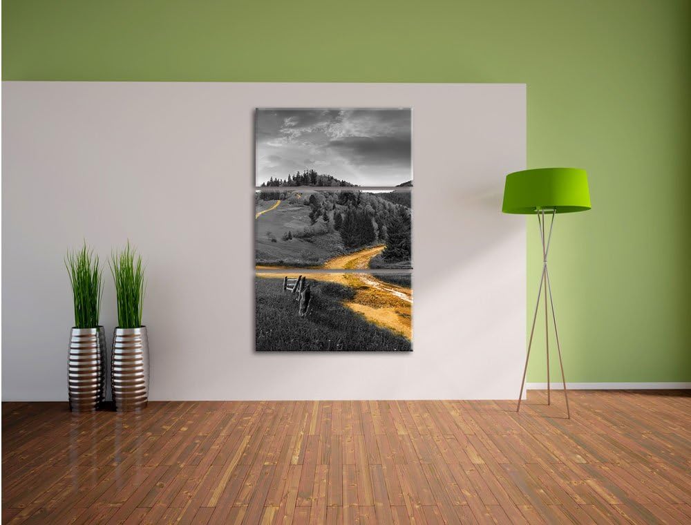 Pixxprint Verträumte Berglandschaft schwarz/weiss als Leinwandbild/Grösse: 3 Teilig (120x80) cm/Wand