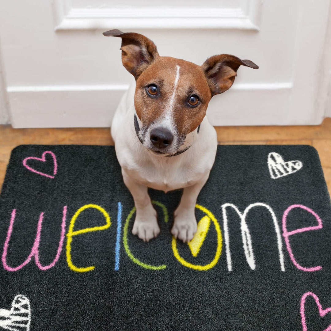 deco-mat Fussmatte Bienvenue 60 x 90 cm Rot - rutschfeste, waschbare Fussmatte für Aussen und Innen