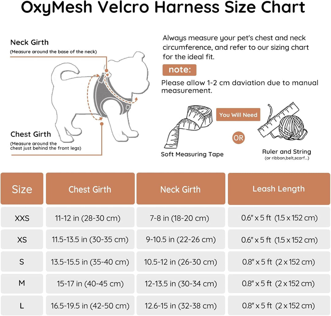 BELLA & PAL Hundegeschirr Kleine Hunde mit Leine, Step-in Geschirr aus Air Mesh, Anti Zug Reflektier