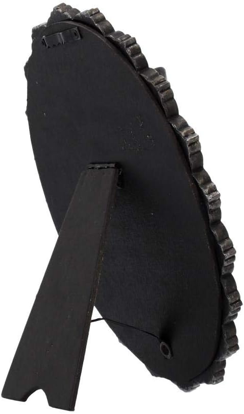 Nemesis Now Schönes Wandschild, 24 cm, grau, Polyresin, 22 cm
