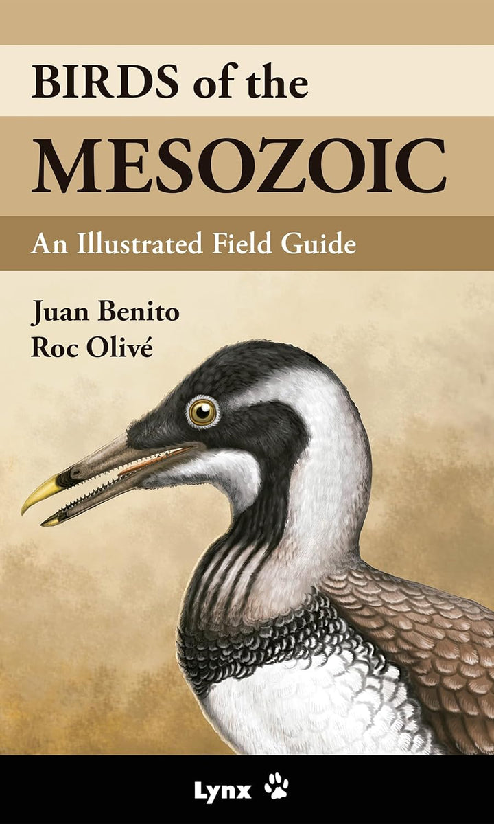 Birds of the Mesozoic: An Illustrated Field Guide, Taschenbuch