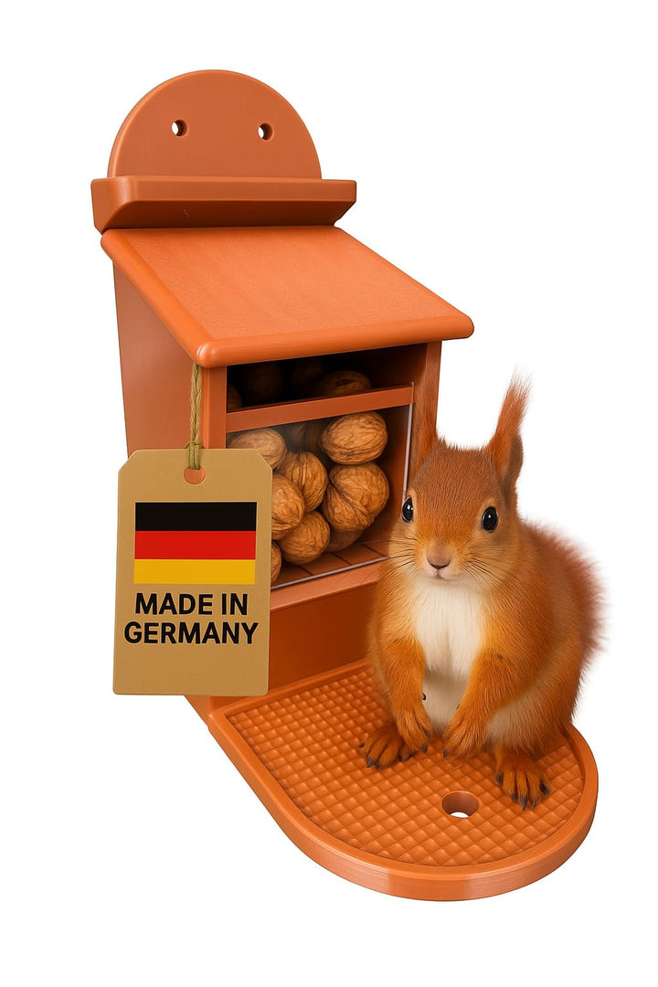Eichhörnchen Futterbox - Eichhörnchen Futterstation - Wetterfest aus Kunststoff - Eichhörnchen futte