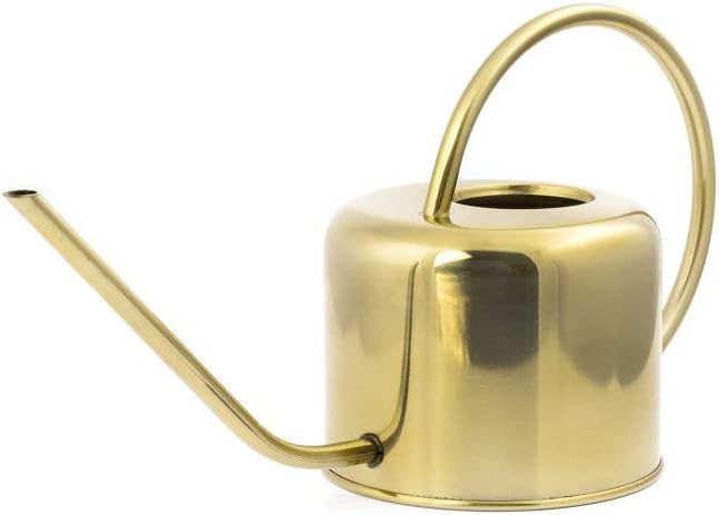 Kikkerland Giesskanne, Metall, Gold, 37.5 x 13 x 19.5 cm