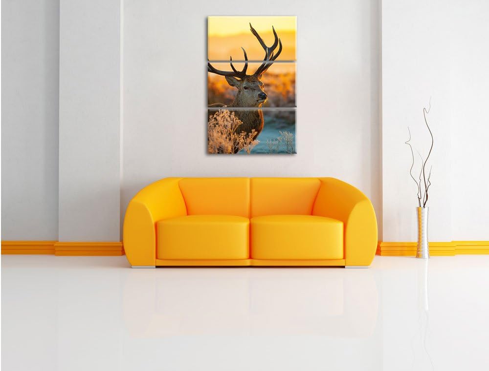 Pixxprint Stolzer Hirsch auf Wiese als Leinwandbild/Grösse: 3 Teilig (120x80) cm/Wandbild/Kunstdruck