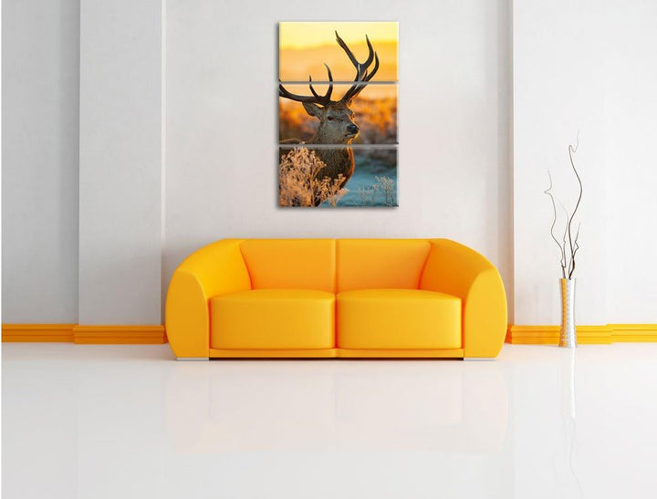 Pixxprint Stolzer Hirsch auf Wiese als Leinwandbild/Grösse: 3 Teilig (120x80) cm/Wandbild/Kunstdruck