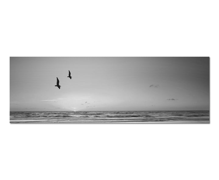 Paul Sinus Art Leinwandfoto als Panorama SCHWARZ/Weiss 150x50cm Strand Meer Sonnenuntergang Möwen