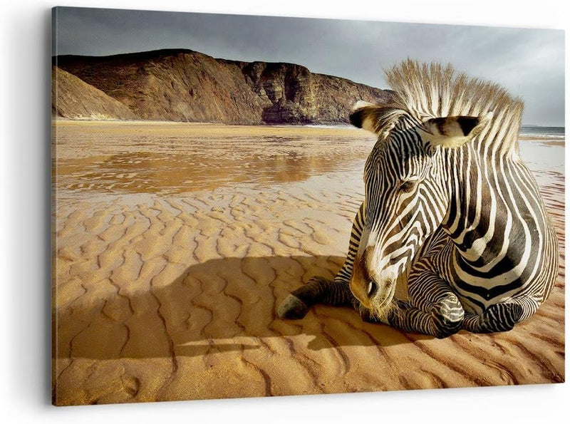 Bilder auf Leinwand 100x70cm Leinwandbild Zebra Strand Landschaft Gross Wanddeko Bild Schlafzimmer K