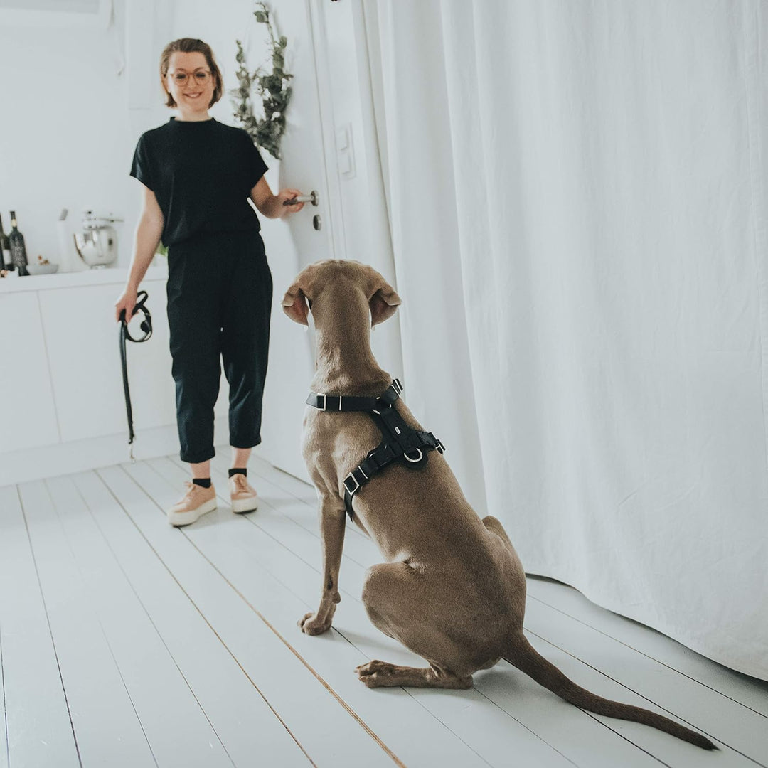 HUNTER Aalborg Hundegeschirr, Leder, XS, schwarz schwarz XS, schwarz XS