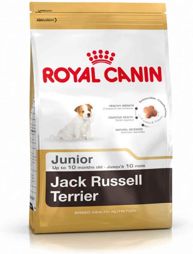 ROYAL CANIN Jack Russel Junior 3 kg, 1er Pack (1 x 3 kg)
