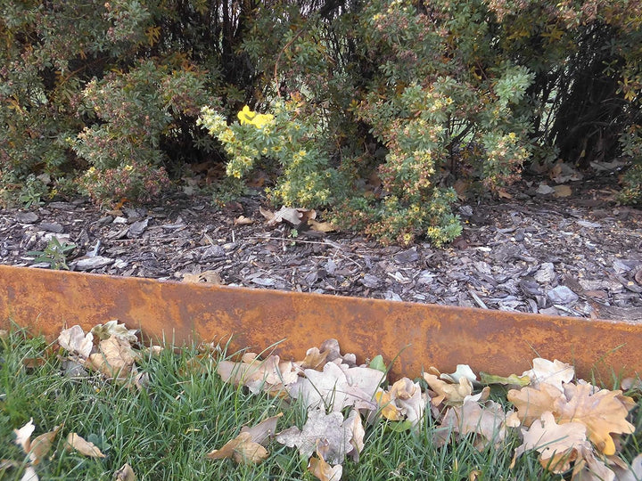 isskohli 14 cm hoch Rasenkante Corten Stahl Edelrost Mähkante Metall Beeteinfassung