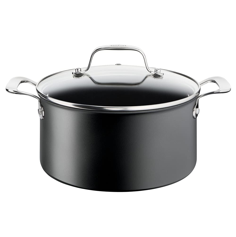 Tefal G2564602 Kochtöpfe aus Aluminium und Edelstahl, 18/977