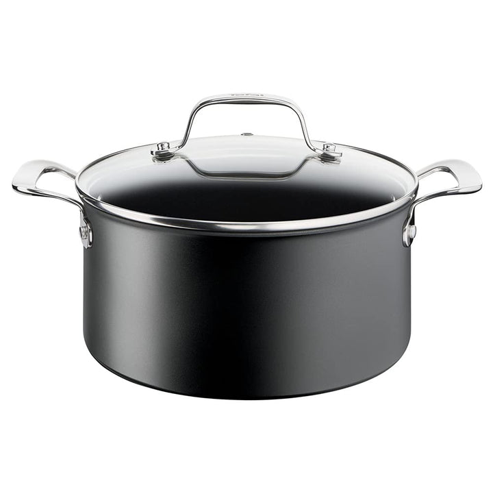 Tefal G2564602 Kochtöpfe aus Aluminium und Edelstahl, 18/977