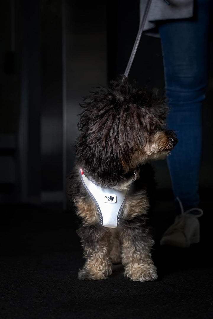 Glow curli Clasp Vest Harness Reflective Gray S, S