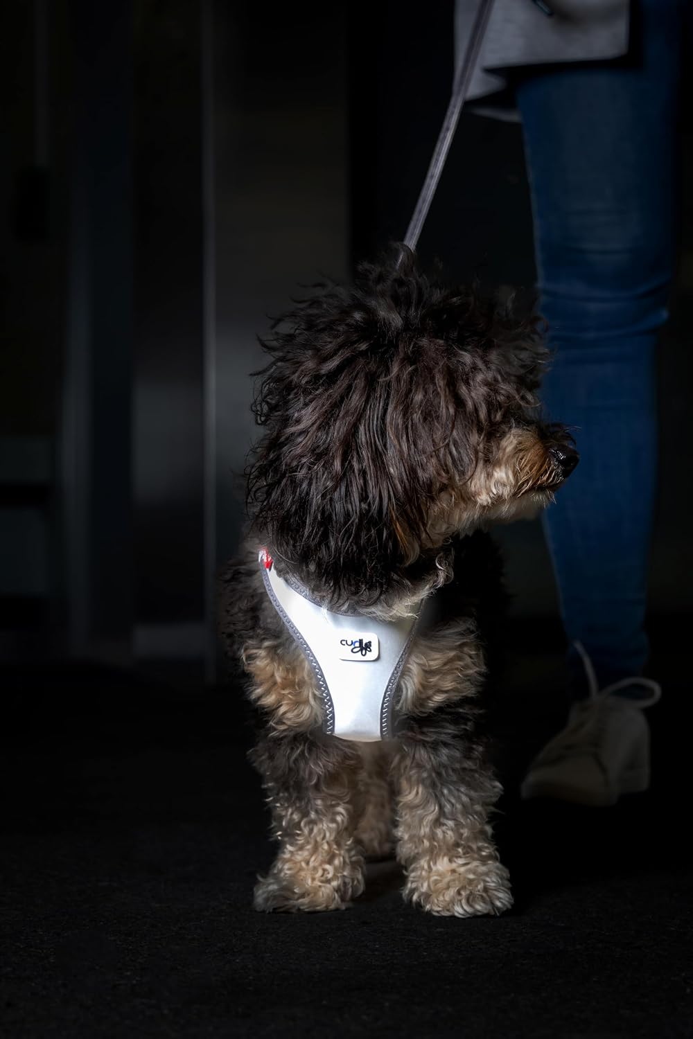 Glow curli Clasp Vest Harness Reflective Gray XL, XL