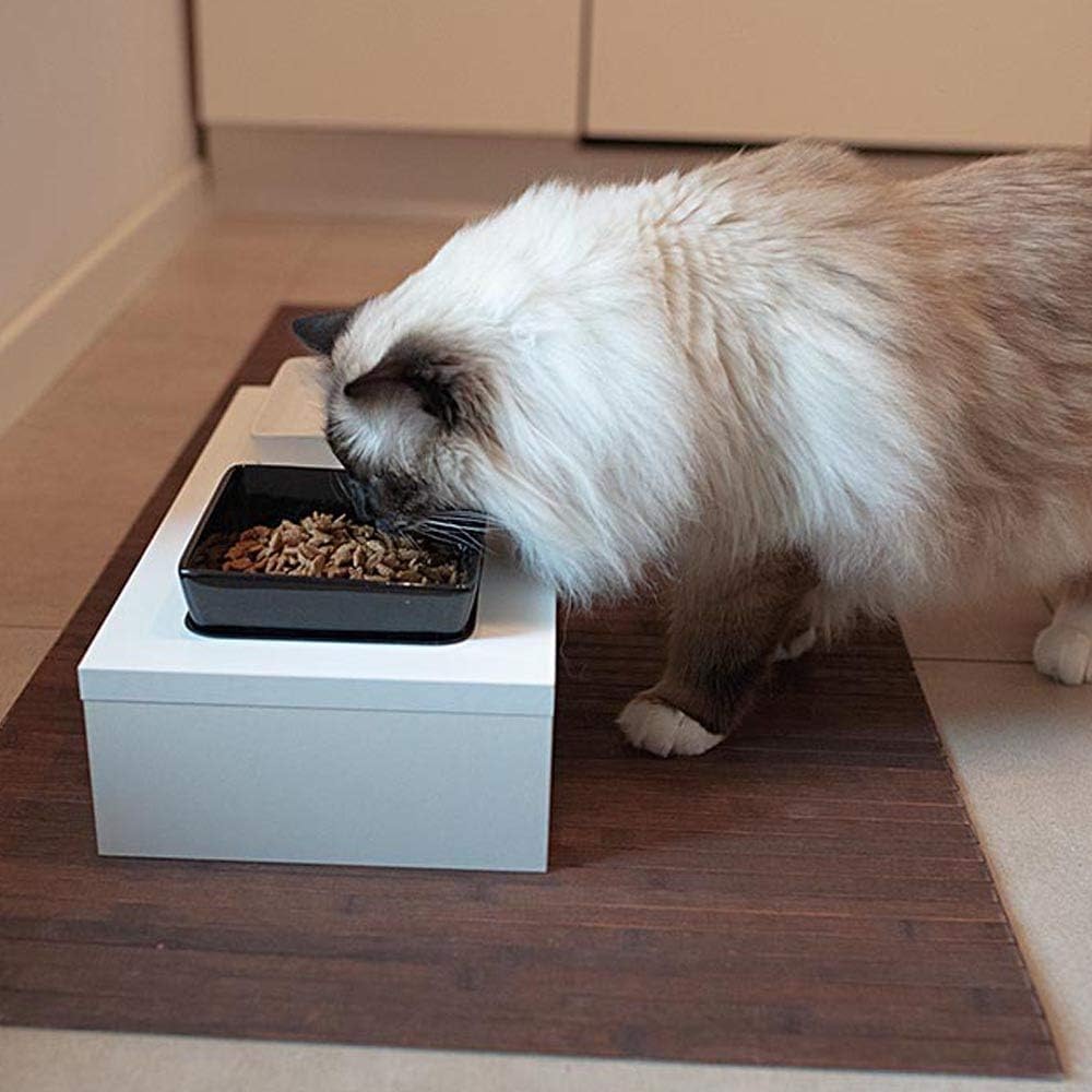 Ferplast Futterschalen für Hunde und Katzen MAKI 01, Rutschfeste Holzständer, 2 Keramikschalen à 0,5