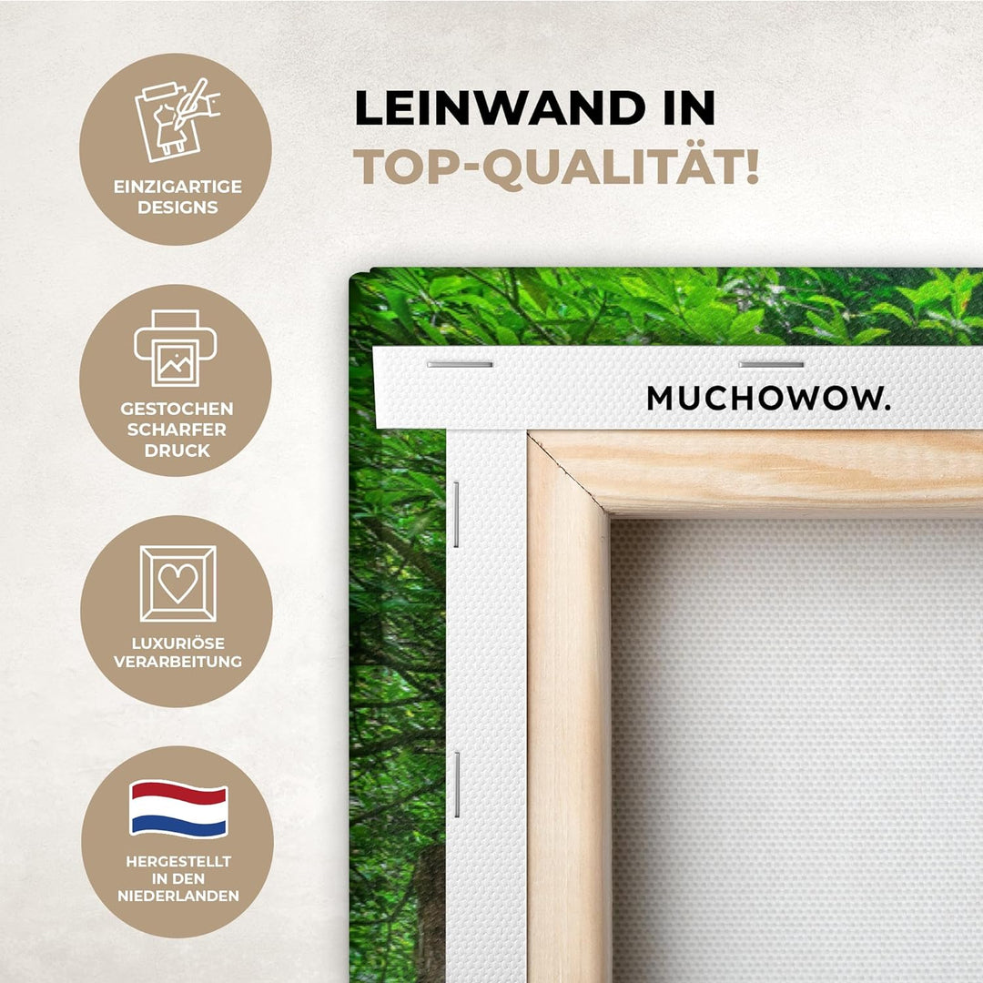 MuchoWow Leinwand Bilder, Einzigartige Wanddeko mit Rahmen, Dschungel - Wasserfall - Pflanzen - Wass