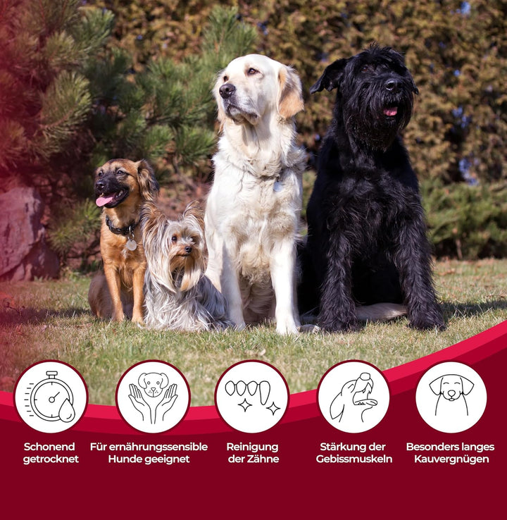 123...Hund dabei! - Büffel-Lunge 3kg, Rinderlunge XXL-Pack, fettarm, getrocknetes Rindfleisch, schon