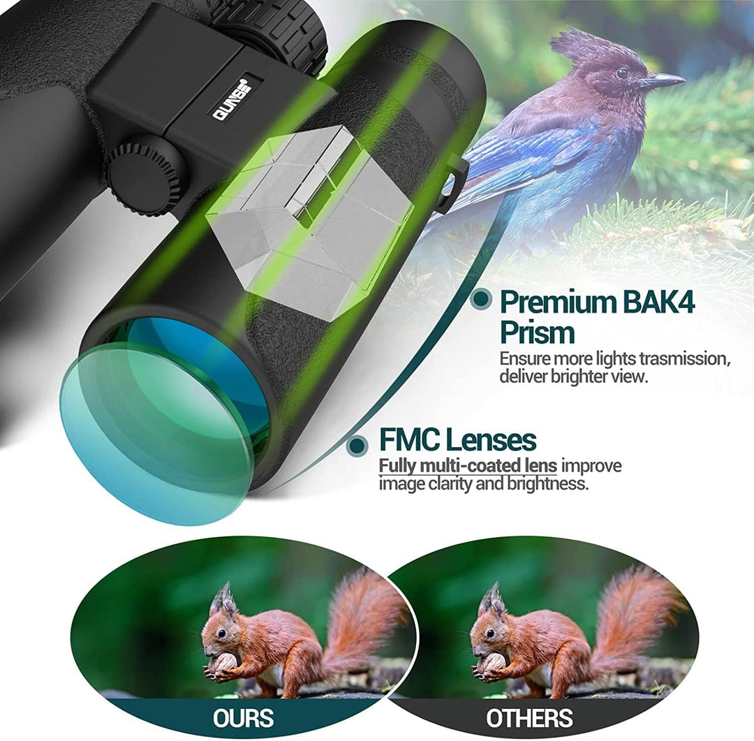 Fernglas 10x42 Kompaktfernglas für Vogelbeobachtung mit Mobiltelefonadapter für Vogelbeobachtung, Re