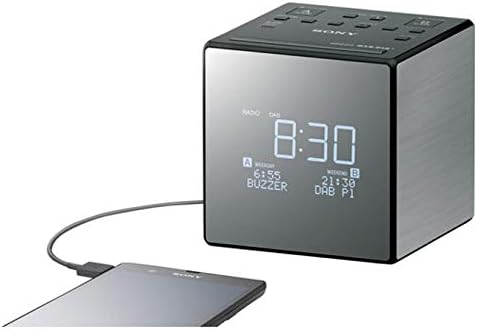 Sony XDR-C1DBP-CEK Wiederaufladbare Tragbare Batteriebetriebene Taschen DAB/DAB + Radiowecker XDRC1D